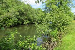 2.-Downstream-from-Highleigh-Bridge.-16