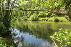 2.-Downstream-from-Highleigh-Bridge.-17