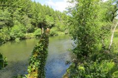 2.-Downstream-from-Highleigh-Bridge.-19