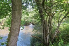 2.-Downstream-from-Highleigh-Bridge.-3