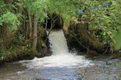 2.-Downstream-from-Highleigh-Bridge.-4