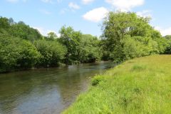 2.-Downstream-from-Highleigh-Bridge.-5