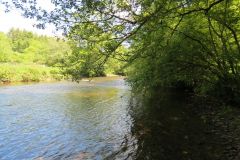 2.-Downstream-from-Highleigh-Bridge.