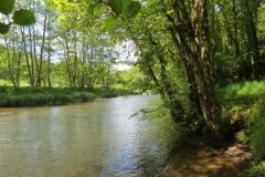 13.-Downstream-from-Oakford-Bridge-11