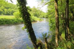 13.-Downstream-from-Oakford-Bridge-12