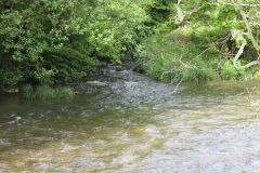 13.-Downstream-from-Oakford-Bridge-4