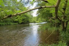 13.-Downstream-from-Oakford-Bridge-6