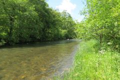 14.-Upstream-from-Stuckeridge-Bridge-10