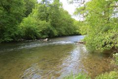 14.-Upstream-from-Stuckeridge-Bridge-11