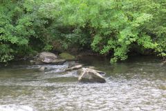 14.-Upstream-from-Stuckeridge-Bridge-13