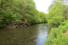 14.-Upstream-from-Stuckeridge-Bridge-14