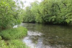 14.-Upstream-from-Stuckeridge-Bridge-15