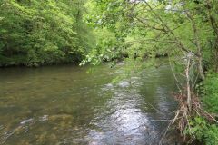 14.-Upstream-from-Stuckeridge-Bridge-17