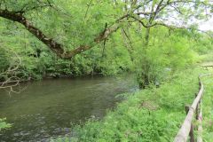 14.-Upstream-from-Stuckeridge-Bridge-18