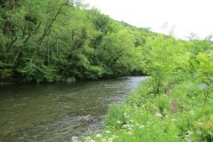14.-Upstream-from-Stuckeridge-Bridge-19