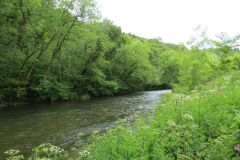 14.-Upstream-from-Stuckeridge-Bridge-20