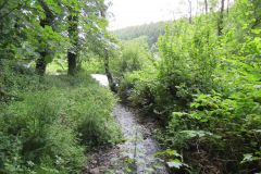 14.-Upstream-from-Stuckeridge-Bridge-3