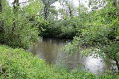 14.-Upstream-from-Stuckeridge-Bridge-4