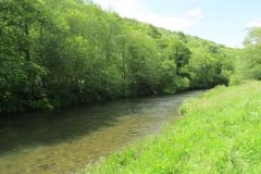 14.-Upstream-from-Stuckeridge-Bridge-7