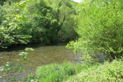14.-Upstream-from-Stuckeridge-Bridge-8