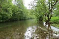 18.-Downstream-from-Stuckeridge-Bridge-11