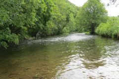 18.-Downstream-from-Stuckeridge-Bridge-16