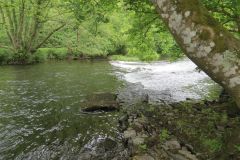 19.-Weir-upstream-from-Chainbridge-1