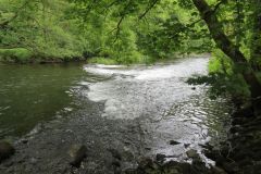 19.-Weir-upstream-from-Chainbridge-2