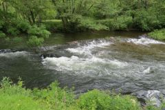 19.-Weir-upstream-from-Chainbridge-4