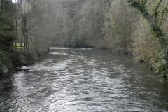 23.-Looking-downstream-from-Chain-Bridge