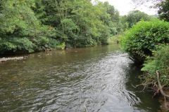 7.-Downstream-from-Cove-Bridge-12