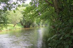 7.-Downstream-from-Cove-Bridge-3