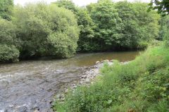 7.-Downstream-from-Cove-Bridge-4