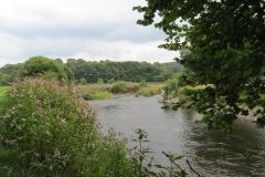 9.-Upstream-from-Iron-Bridge-5