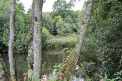 10.-Downstream-from-Iron-Bridge-16