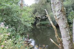 10.-Downstream-from-Iron-Bridge-17
