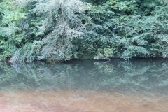 10.-Downstream-from-Iron-Bridge-20