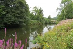 10.-Downstream-from-Iron-Bridge-6