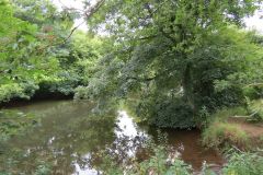 10.-Downstream-from-Iron-Bridge-9