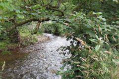 11.-Washfield-Weir-2