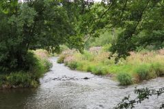 11.-Washfield-Weir-6