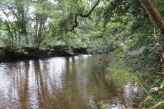 12.-Downstream-from-Washfield-Weir-1