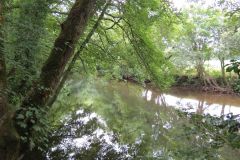 12.-Downstream-from-Washfield-Weir-3