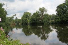 12.-Downstream-from-Washfield-Weir-4