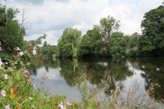 12.-Downstream-from-Washfield-Weir-6