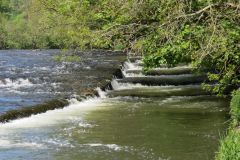 4.-Head-Weir-Salmon-Ladder-2