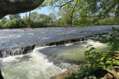 4.-Head-Weir-Salmon-Ladder-4