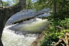 4.-Head-Weir-Salmon-Ladder-5