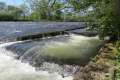 4.-Head-Weir-Salmon-Ladder-6