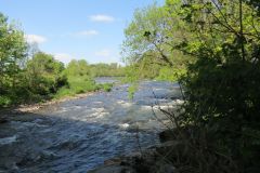 River Exe - Watersmeet to Tiverton